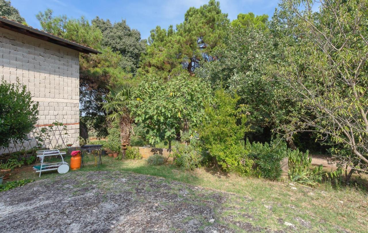 St. Becic Daire Poreč Dış mekan fotoğraf